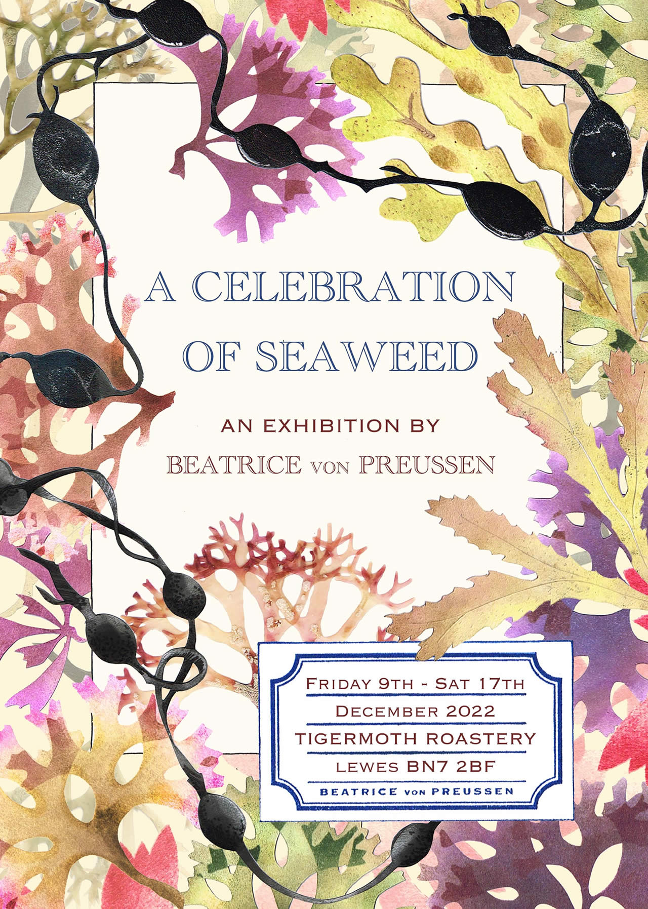 A Celebration of Seaweed